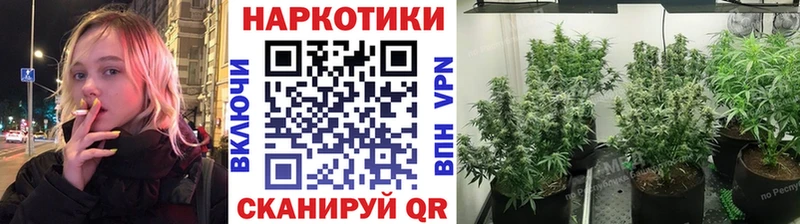 Наркошоп купить ГАШИШ  Канабис  КОКАИН  МЕТАМФЕТАМИН  Меф  Альфа ПВП  Кадников
