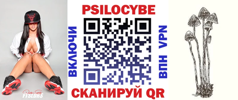 Псилоцибиновые грибы мицелий  Купить закладки  Кадников 